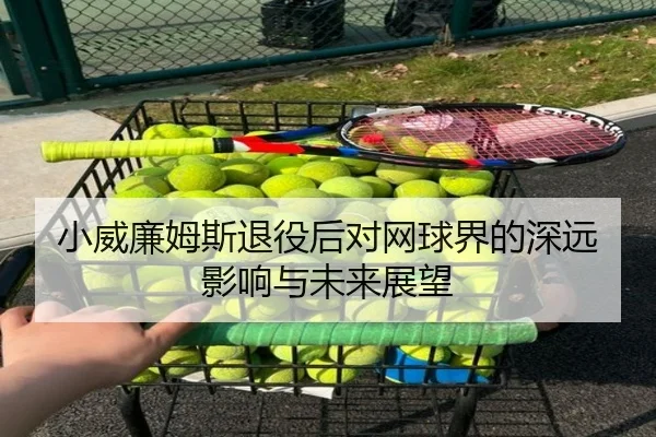 小威廉姆斯退役后对网球界的深远影响与未来展望